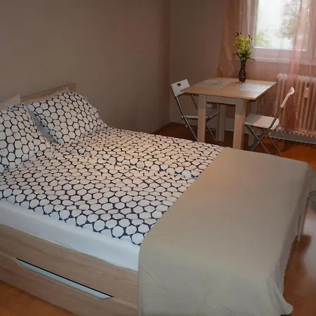 Apartment Poetyi Flat